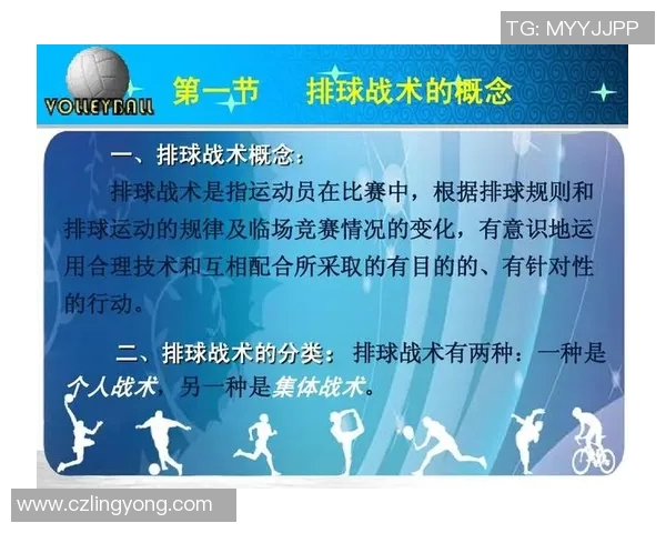 上海排球队技术分析与发展探讨聚焦排球运动的未来与挑战