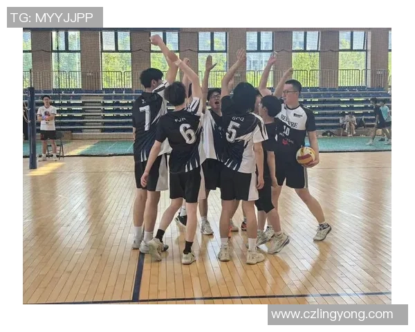 南京排球队团队协作创新高展现团结精神与拼搏风貌