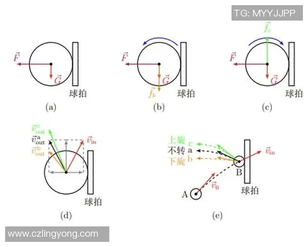 科学乒乓球团队协作训练方法探索与实践提升运动员综合素质的有效策略