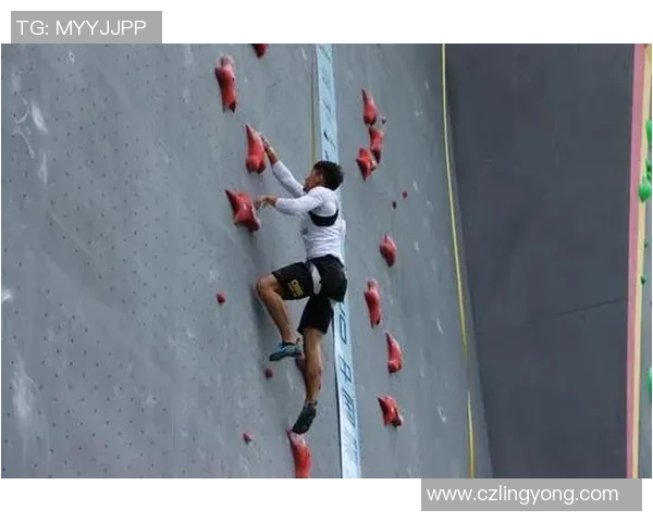 上海攀岩队速度表现分析及运动数据研究成果分享